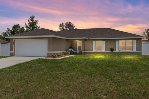 Photo of 3887 SW 156th Place, Ocala, FL 34473 (MLS # OM701973)