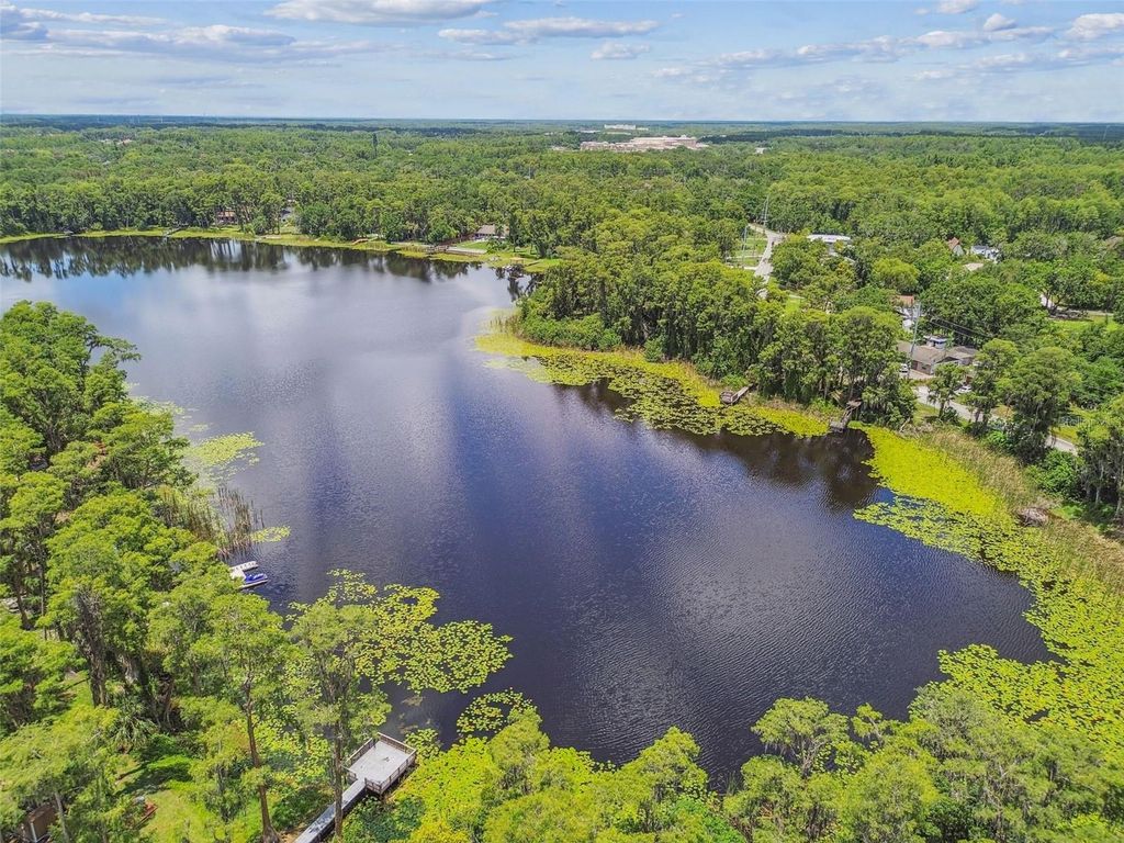 Photo of 17906 Loretta Lane, Lutz, FL 33548 (MLS # TB8399926)