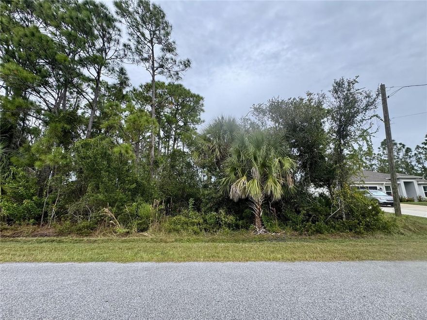 Discover this beautiful North Port lot nestled amid Florida’s natural landscape. Conveniently located near Myakkahatchee Creek Environmental Park, Wellen Park, Boca Grande and the Gulf beaches, with easy access to I-75 and the many shopping centers, restaurants and recreational amenities the surrounding area offers.
Whether you’re seeking a great investment opportunity in a fast-growing community or the perfect place to build your family’s forever home, this lot offers outstanding potential in the heart of natural Florida.