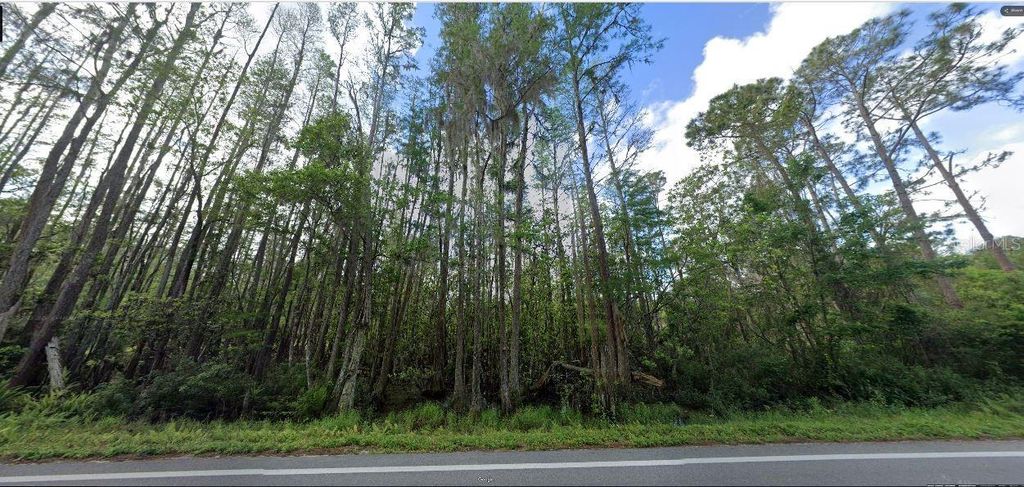 Photo of Deen Still Road, Polk City, FL 33868 (MLS # O6270333)