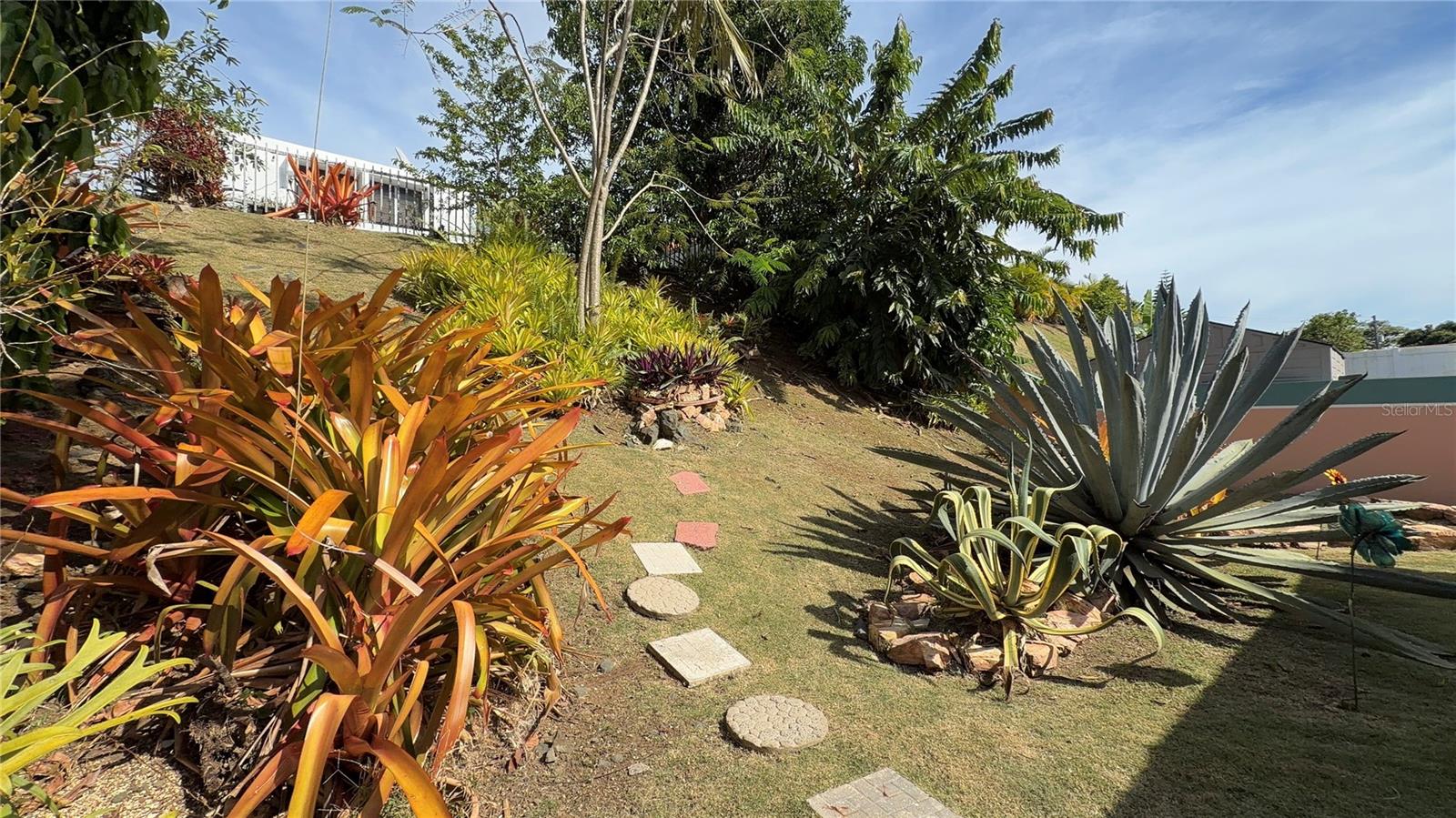 CIENAGA BAJA - Residential