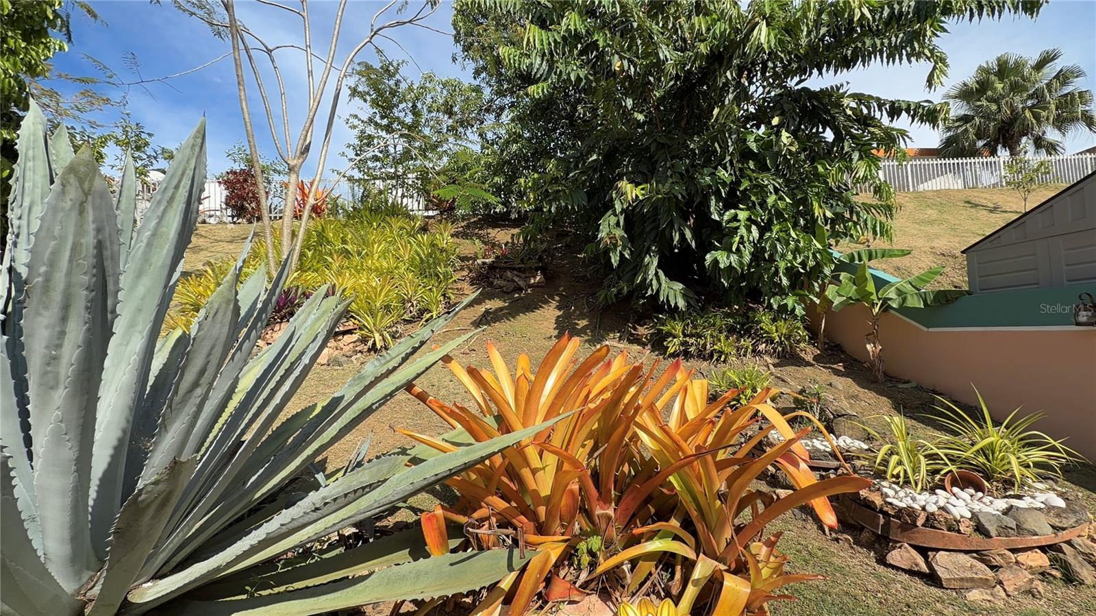 CIENAGA BAJA - Residential