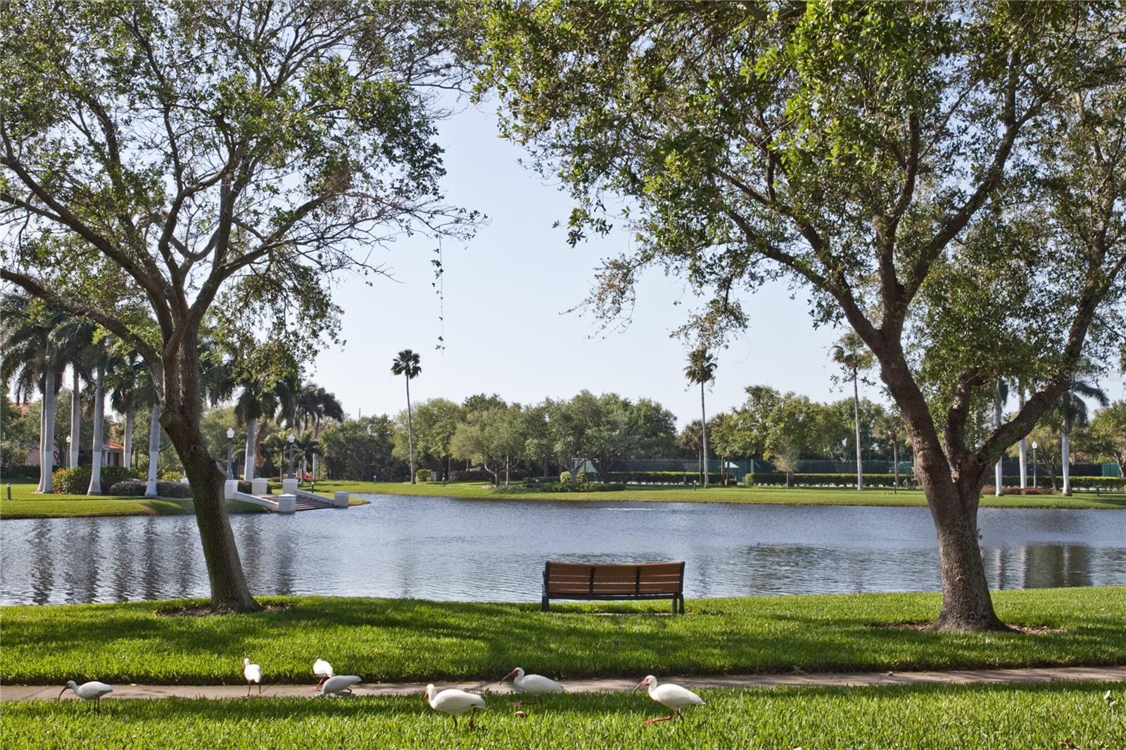 DOLPHIN CAY ANTIGUA - Residential