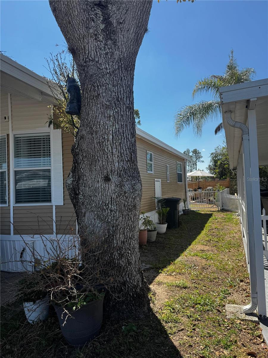 CENTER CREST - Residential