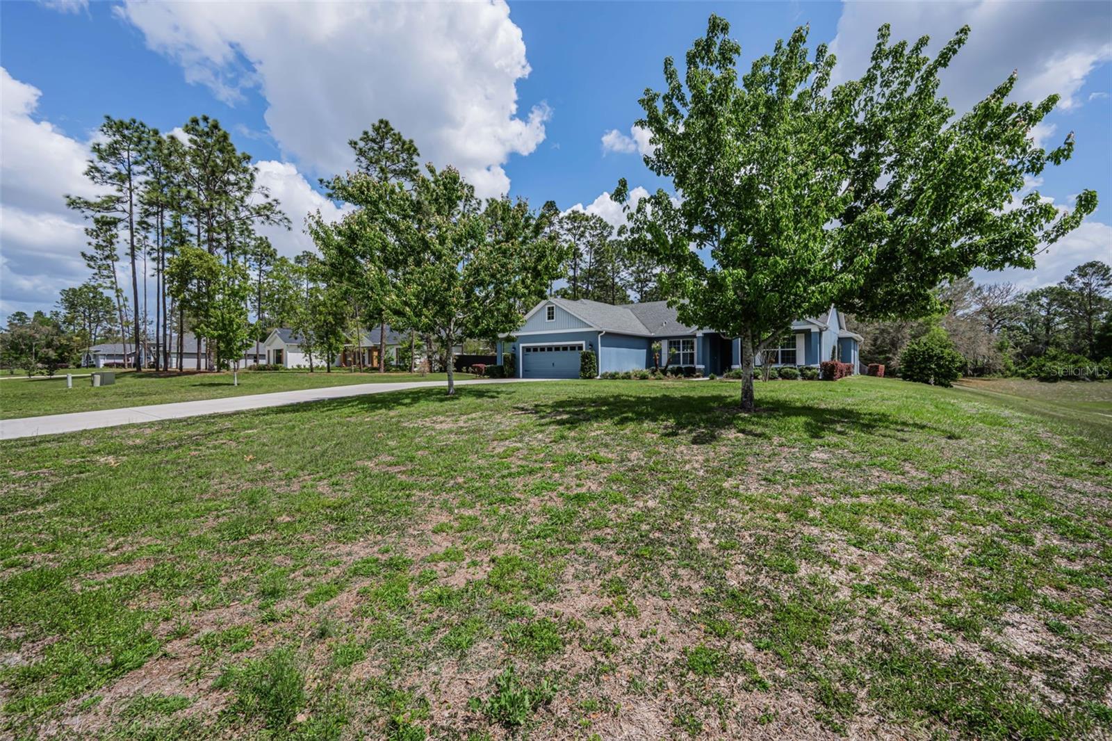 ROYAL PALM ESTATES REP - Residential