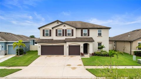 11719 TETRAFIN DRIVE RIVERVIEW FL 33579