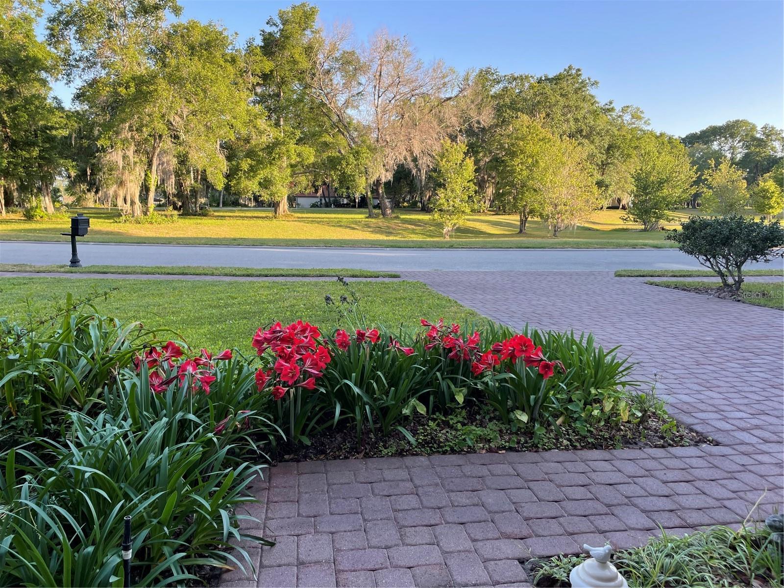 3609 AZURITE COURT