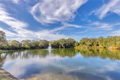 A home in PALM HARBOR