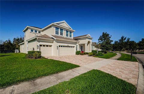 A home in LAND O LAKES