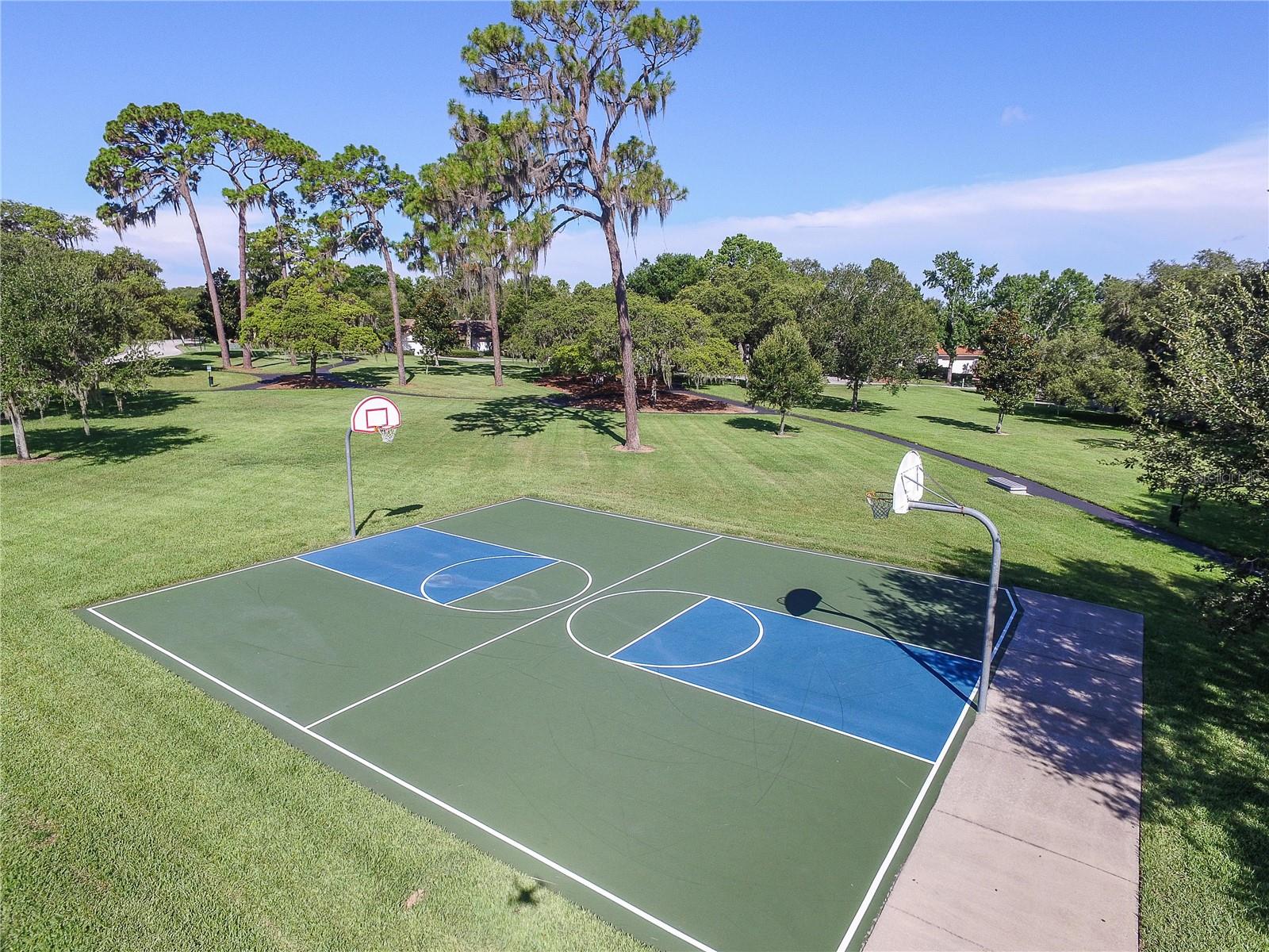 SANCTUARY AT COBBS LANDING THE - Residential