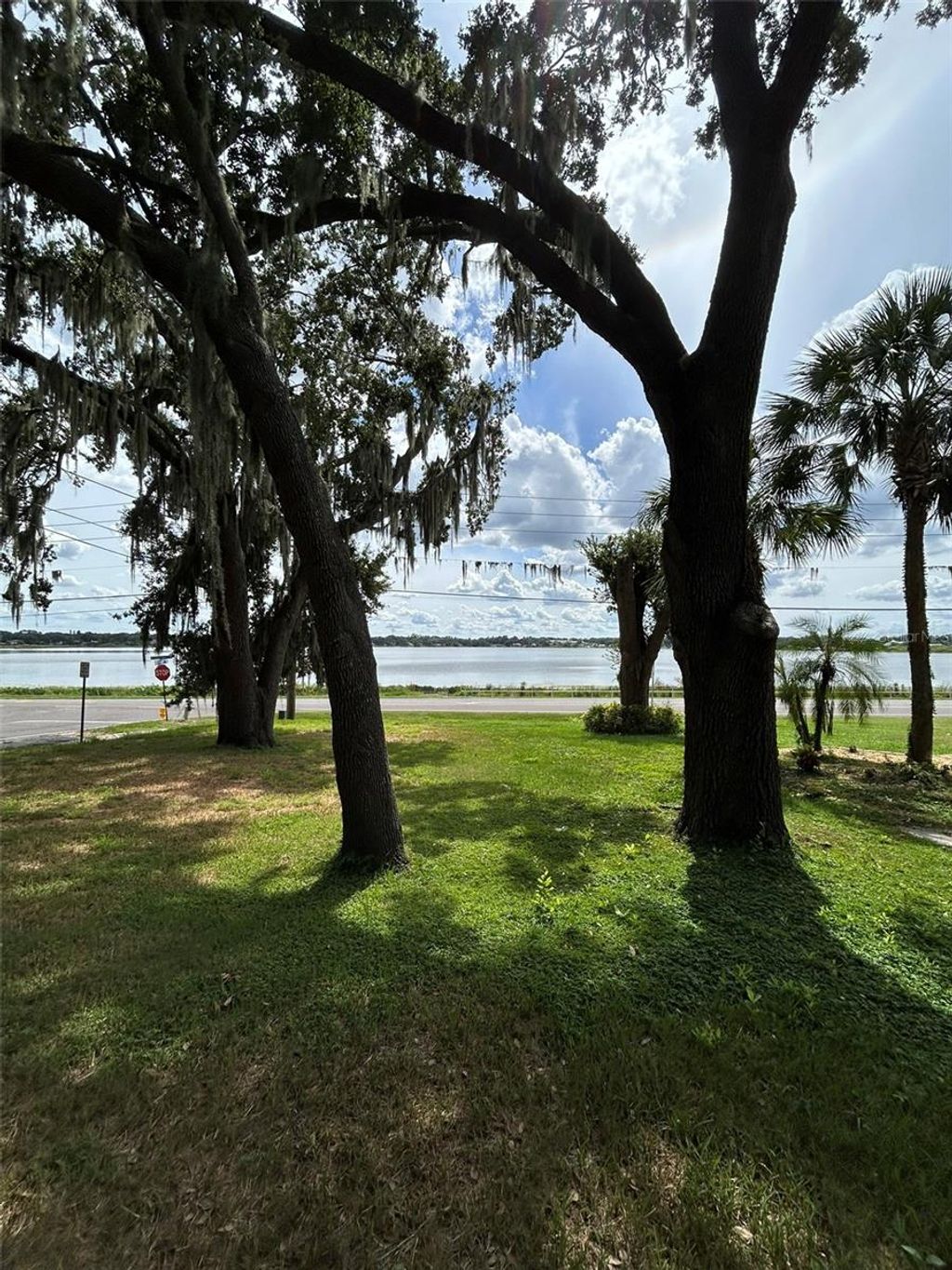 Photo of 508 E Silver Star Road, Ocoee, FL 34761 (MLS # O6349747)