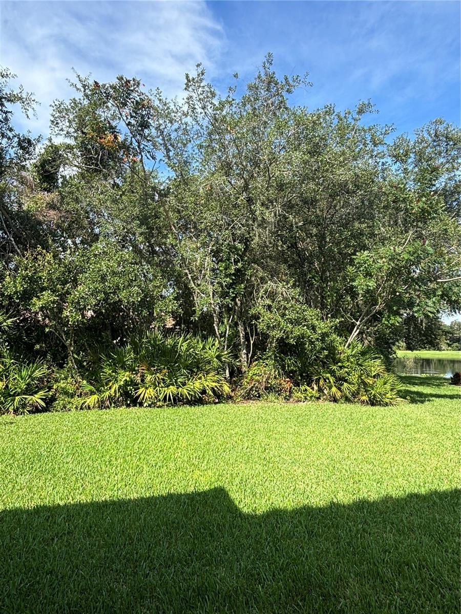 RIVIERA BELLA UNIT 2B - Residential Lease