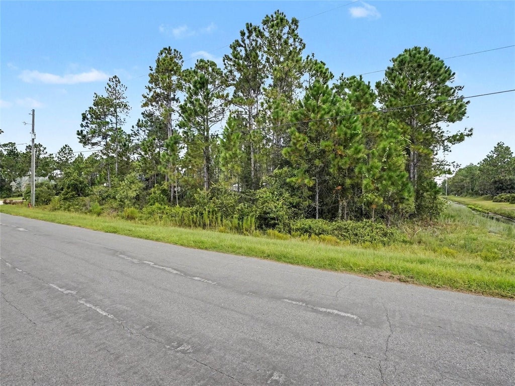 Photo of Lansdowne Street, Orlando, FL 32833 (MLS # O6445282)
