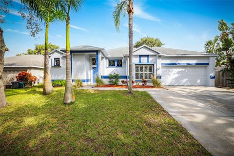 Photo of 1187 Blackrush Drive, Tarpon Springs, FL 34689 (MLS # TB8436618)