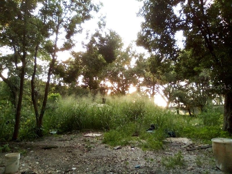 GRIFFIN PARK SUB - Land