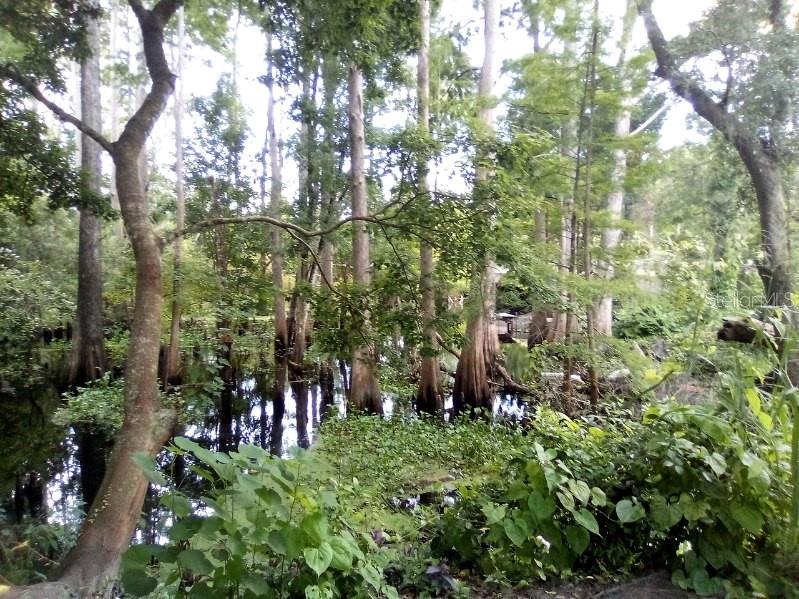 GRIFFIN PARK SUB - Land