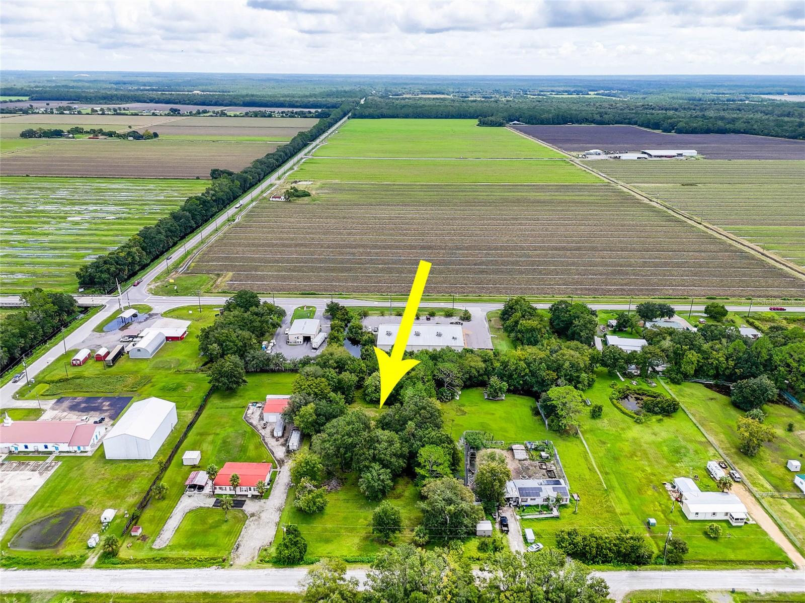 DAYTONA NORTH - Residential