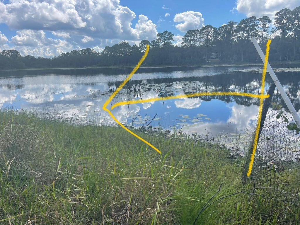 Photo of 42318 W Lake Road, Deland, FL 32720 (MLS # V4945125)