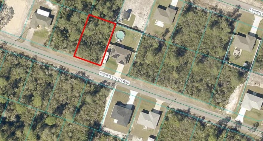 High and dry lot in Silver Spring Shores in the Ocklawaha area on. paved road. This up and coming area of the Shores features many new construction homes. Zoned R1 its the perfect spot to build your new home in a country setting.