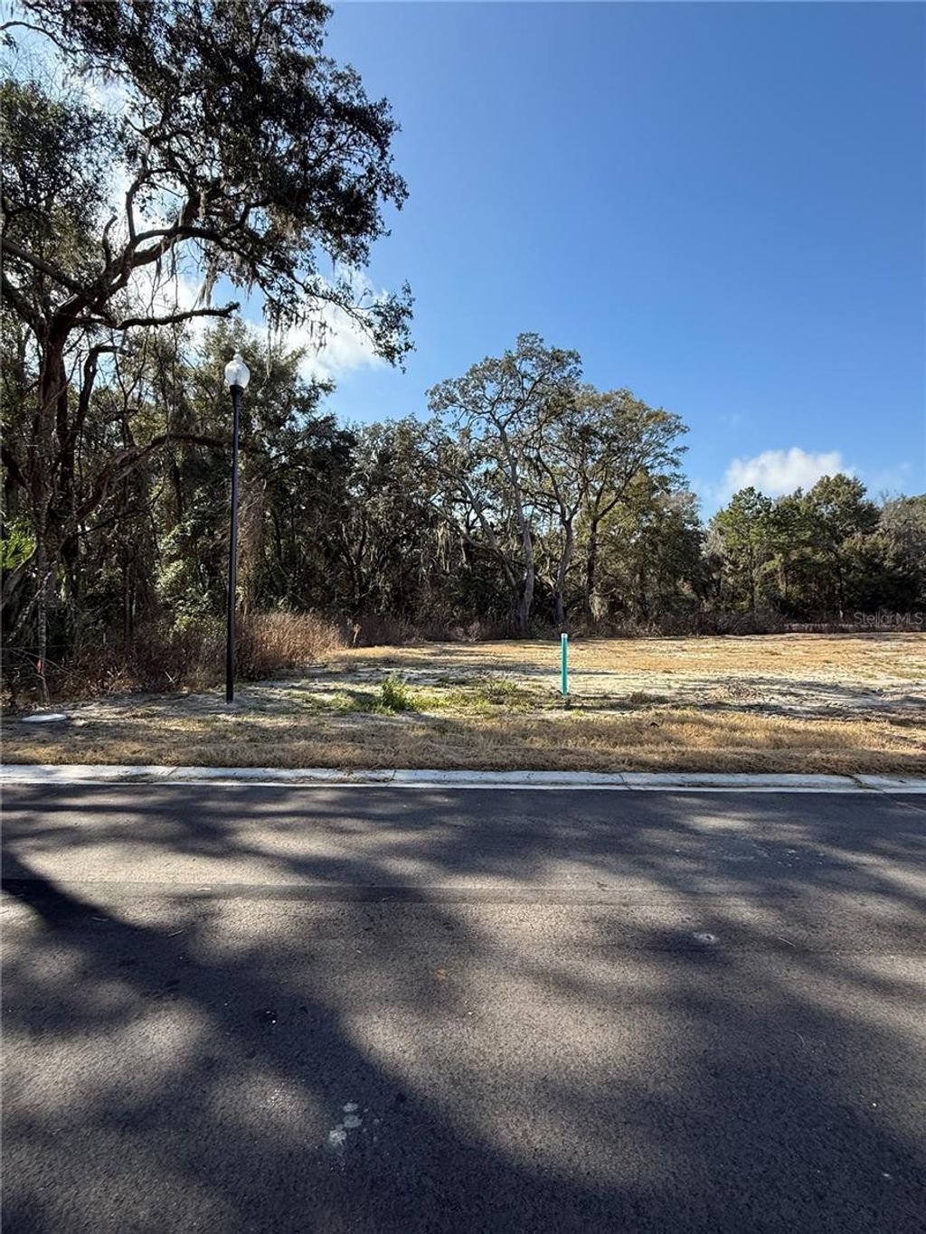 Photo of 2630 SW 250th Terrace, Newberry, FL 32669 (MLS # GC537104)