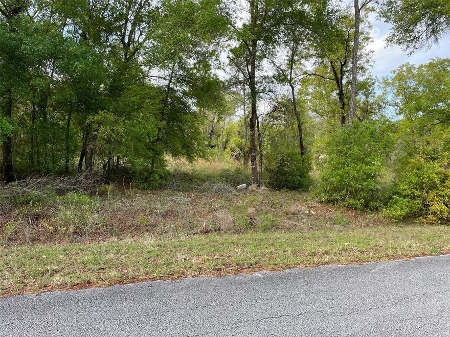 BUILD YOUR DREAM HOME, VACATION HOME, OR INVESTMENT PROPERTY ON THIS VERY NICE WOODED AND TREED LOT WITH JUST ABOUT AN ACRE OF LAND (0.99 Acres). NO HOA OR TIME LIMIT TO BUILD (No Mobile Homes). THERE IS A 10 X 12 SHED ON THE PROPERTY AND THE LOT HAS ALREADY BEEN SURVEYED. LOCATED ON A PAVED ROAD IN THE SOUGHT-AFTER COMMUNITY OF RAINBOW LAKES ESTATES. JUST IMAGINE SPENDING RELAXING TIME WITH FAMILY AND FRIENDS ENTERTAINING IN YOUR BEAUTIFUL NEW HOME ENJOYING SERENE NATURE-FILLED DAYS IN THE WONDERFUL FLORIDA SUNSHINE. THE OMMUNITY FEATURES 2 PLAYGROUNDS, BONABLE LAKE WITH A FISHING PIER, TIGER LAKE WITH A BOAT RAMP, EXERCISE ROOM, COMMUNITY CENTER, BASKETBALL AND TENNIS COURT. CONVENIENT TO DOWNTOWN DUNNELLON, GREAT FOR ANTIQUE SHOPS, RESTAURANTS, SHOPPING, OCALA, THE WORLD EQUESTION CENTER FOR THE EQUINE ENTHUSIAST, CRYSTAL RIVER, GAINESVILLE, GULF COAST AND THE CRYSTAL-CLEAR WATERS OF RAINBOW SPRINGS STATE PARK WHERE YOU CAN ENJOY SWIMMING, KAYAKING, CANOEING, SNORKELING, TUBING AND PICNICING. COME CLAIM YOUR PIECE OF PARADISE!!