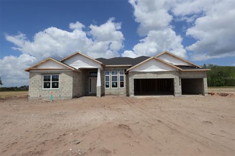 Photo of 3053 Solace Way, Orlando, FL 32820 (MLS # O6389885)