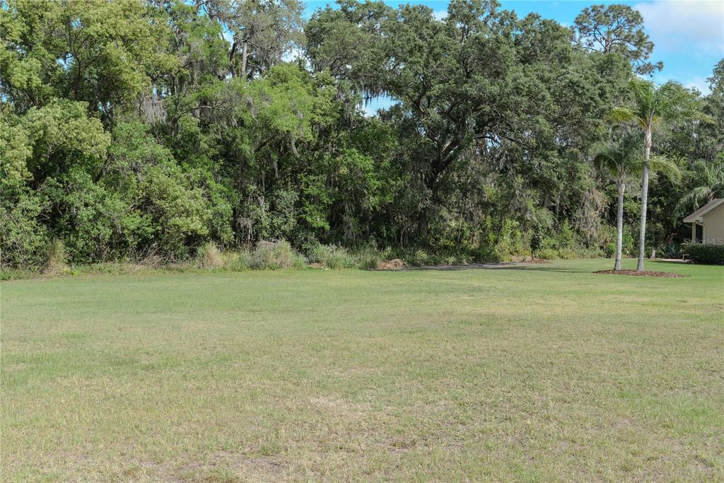 Photo of 3152 Oakpark Drive, Lakeland, FL 33803 (MLS # L4952072)