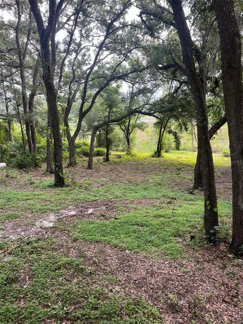 A home in OCKLAWAHA