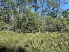 Owner financing available. Build your dream home on this 0.23-acre lot in the Georgetown community, zoned R-2, allowing single-family homes, tiny homes, barndominiums, or mobile homes. Enjoy peaceful living just minutes from Lake George and the St. Johns River, with boating, fishing, and outdoor recreation nearby. The property is part of an HOA, offering community guidelines to maintain neighborhood charm. Conveniently located near Palatka, Crescent City, and local amenities, this lot is perfect for a full-time residence, weekend retreat, or investment property.