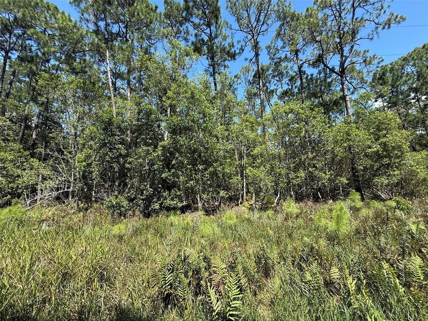 Owner financing available. Build your dream home on this 0.23-acre lot in the Georgetown community, zoned R-2, allowing single-family homes, tiny homes, barndominiums, or mobile homes. Enjoy peaceful living just minutes from Lake George and the St. Johns River, with boating, fishing, and outdoor recreation nearby. The property is part of an HOA, offering community guidelines to maintain neighborhood charm. Conveniently located near Palatka, Crescent City, and local amenities, this lot is perfect for a full-time residence, weekend retreat, or investment property.
