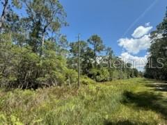 PARADISE LAKES SUB - Land