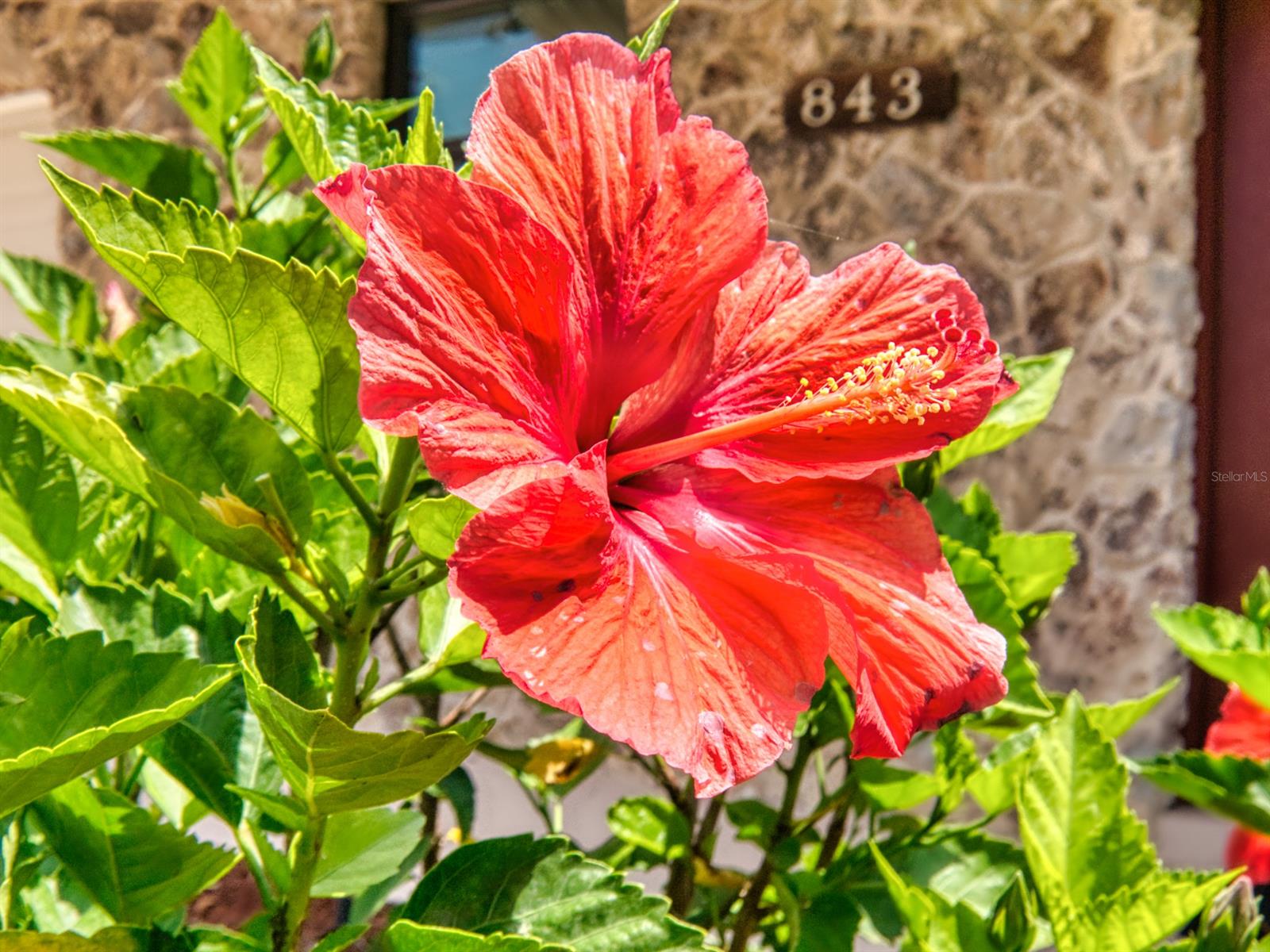 Detwilers Add 01 New Smyrna Bch - Residential