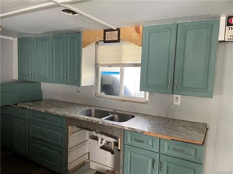 Photo of 4255 E Nugget Pass Place, Dunnellon, FL 34434 (MLS # OM715689)