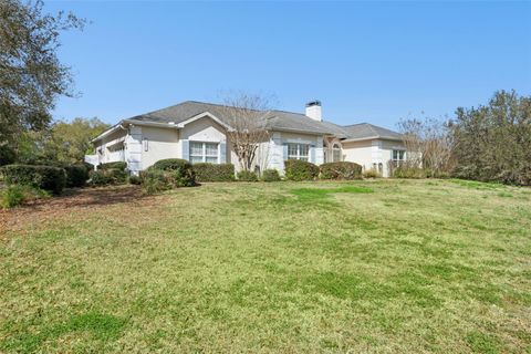 Tiny photo for 22841 Stallion Drive, Sorrento, FL 32776 (MLS # S5144918)