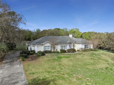 Tiny photo for 22841 Stallion Drive, Sorrento, FL 32776 (MLS # S5144918)