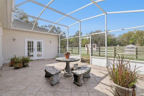 Tiny photo for 22841 Stallion Drive, Sorrento, FL 32776 (MLS # S5144918)