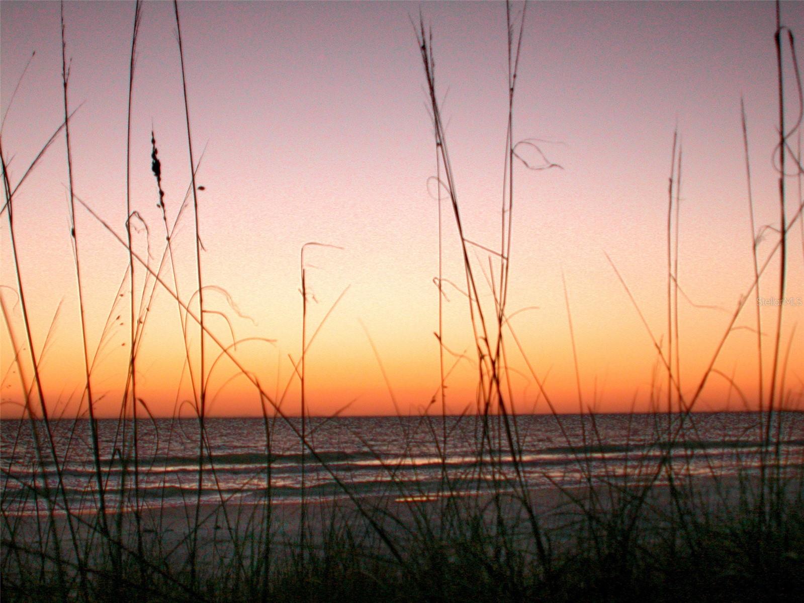 THE SHORE - Residential Lease