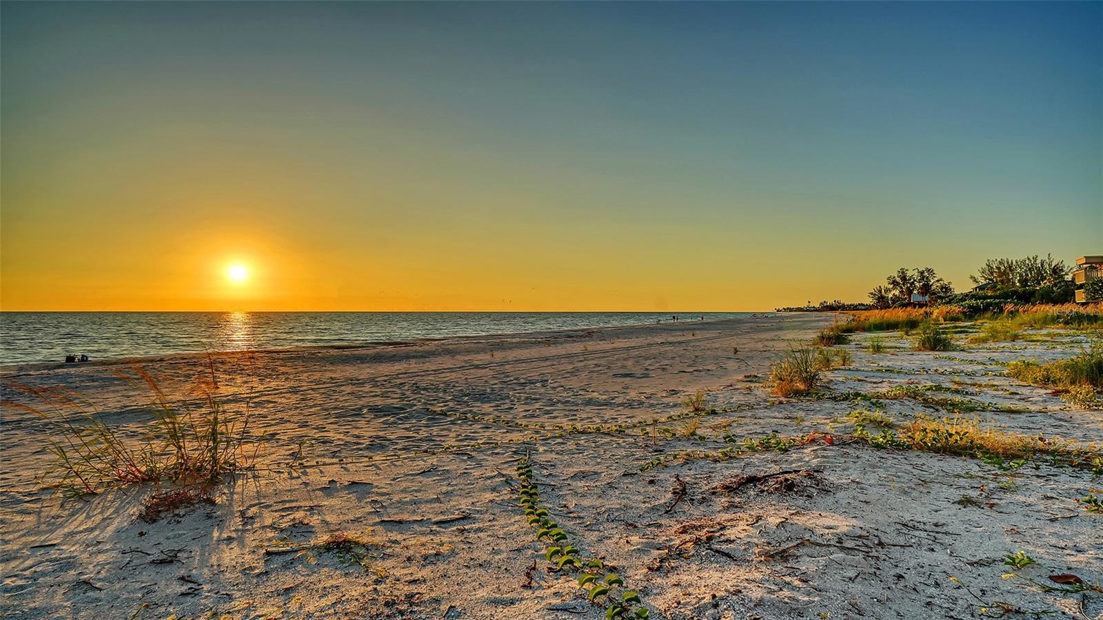 THE SHORE - Residential Lease