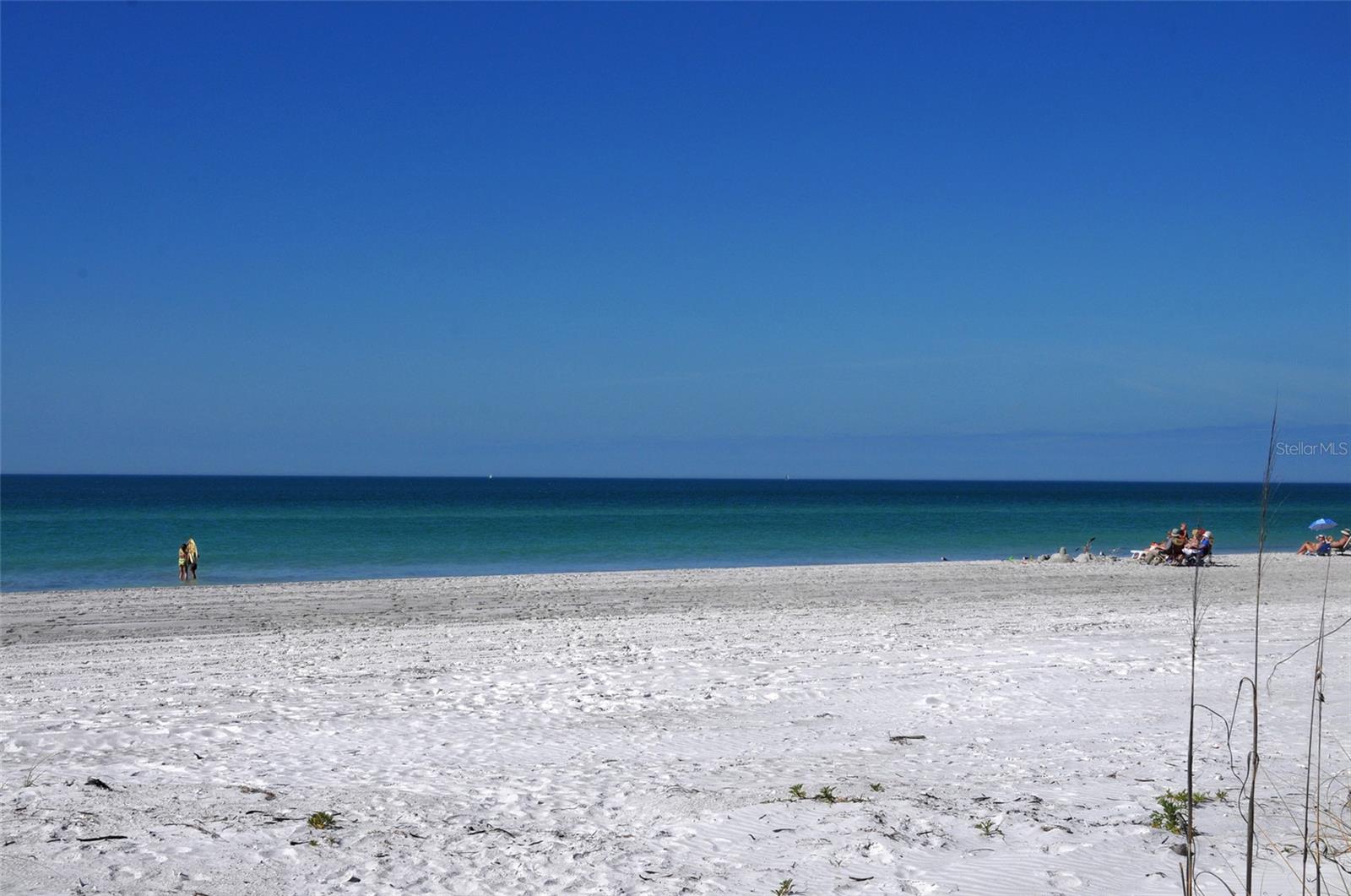 THE SHORE - Residential Lease