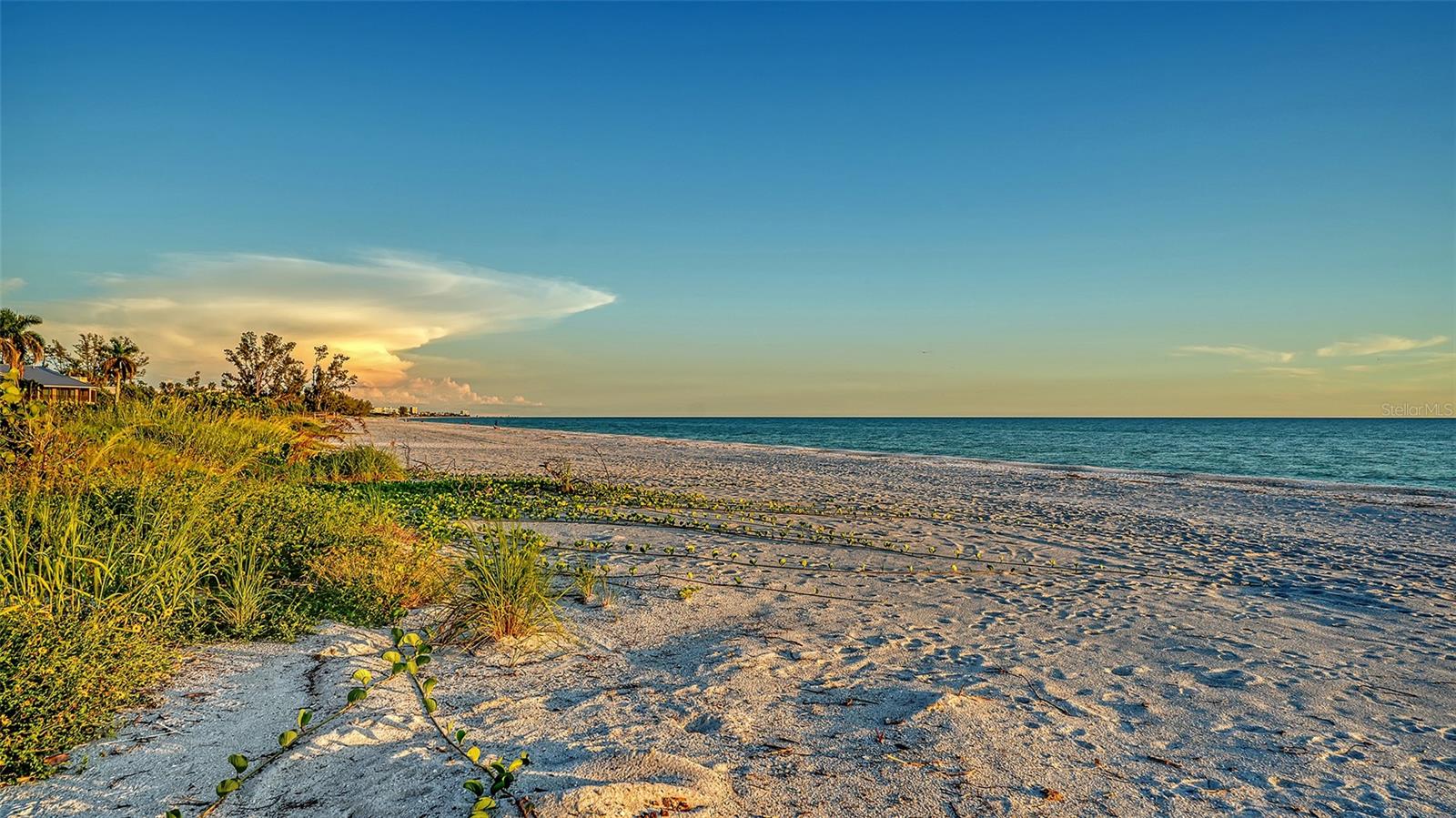 THE SHORE - Residential Lease