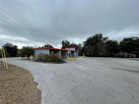 Tiny photo for 770 E Hathaway Avenue, Bronson, FL 32621 (MLS # GC536919)