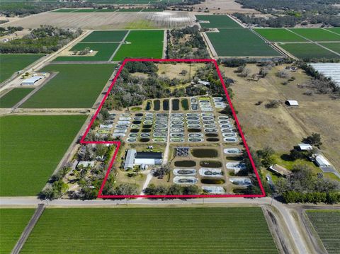 Photo of 20112 Hobbs Road, Wimauma, FL 33598 (MLS # TB8474537)