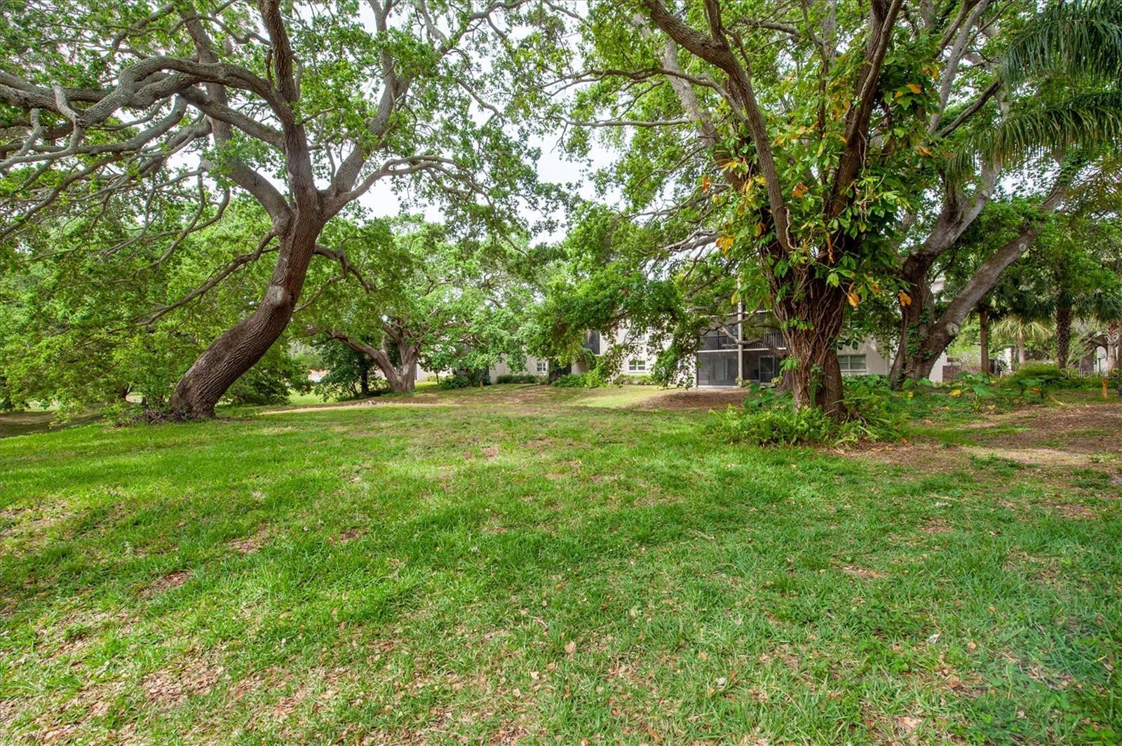 PATRICIAN OAKS - Residential