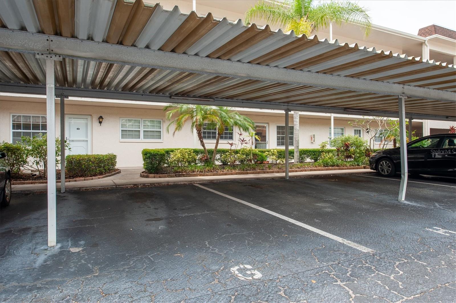 PATRICIAN OAKS - Residential