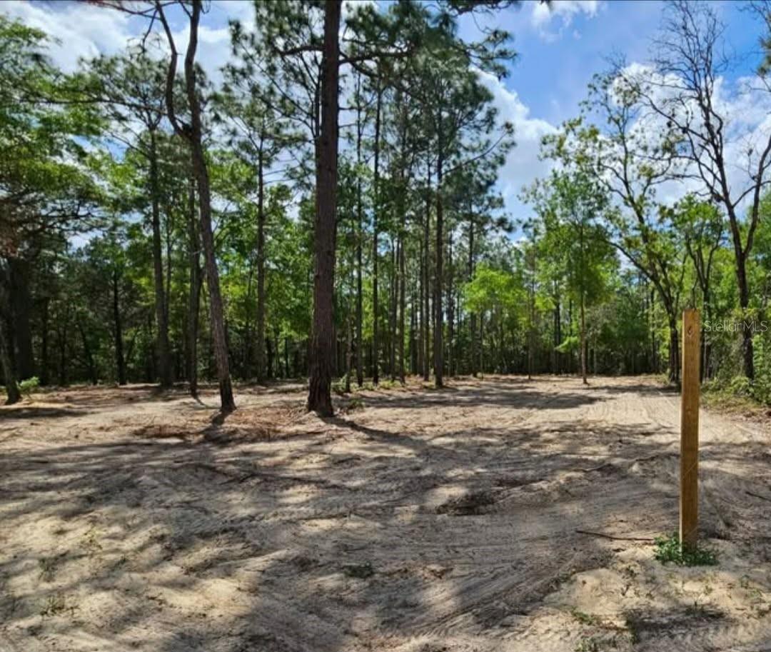 ROYAL HIGHLANDS - Land