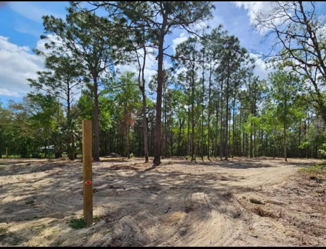 ROYAL HIGHLANDS - Land