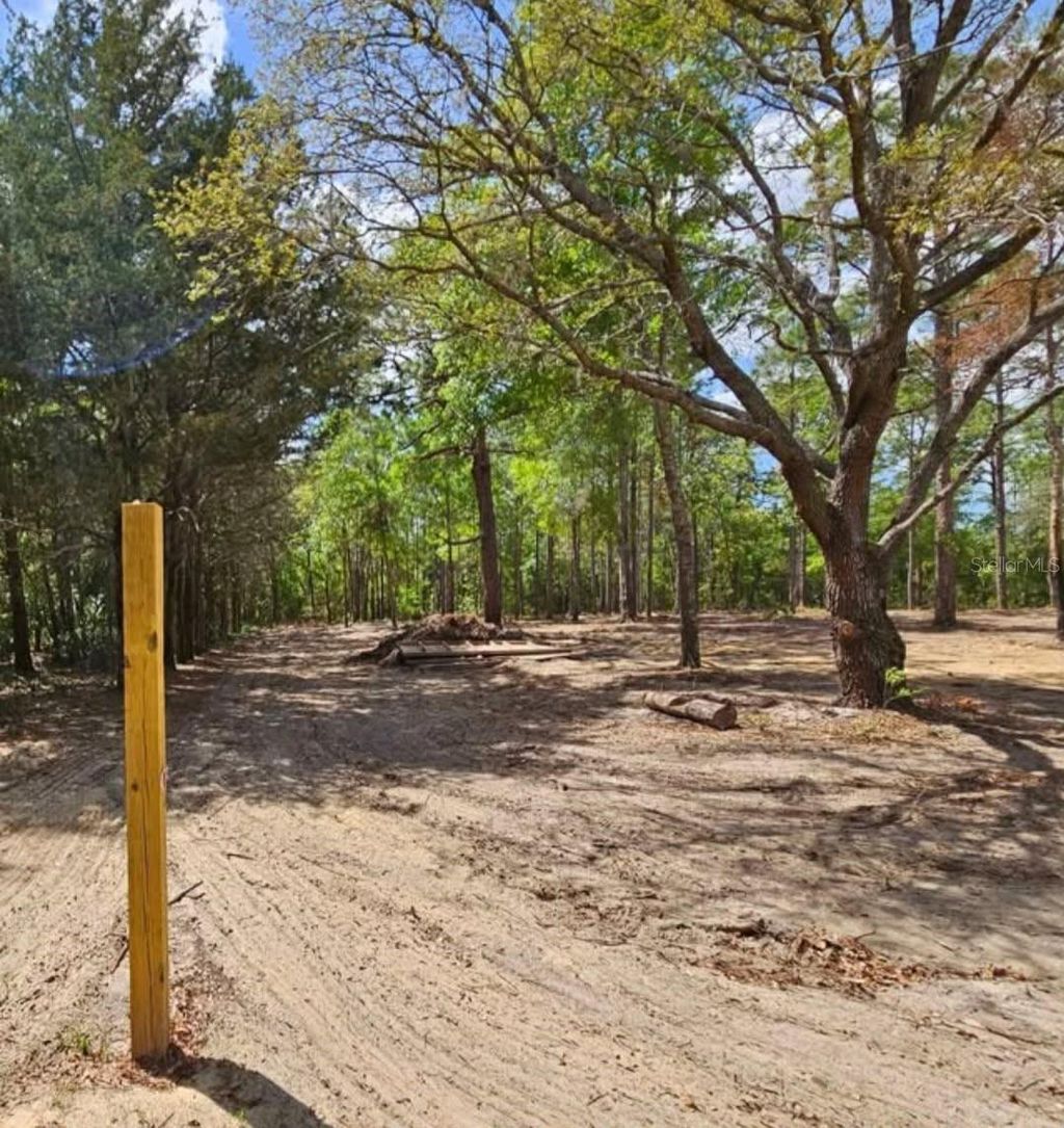 Photo of 13409 Cormorant Road, Brooksville, FL 34614 (MLS # W7882060)