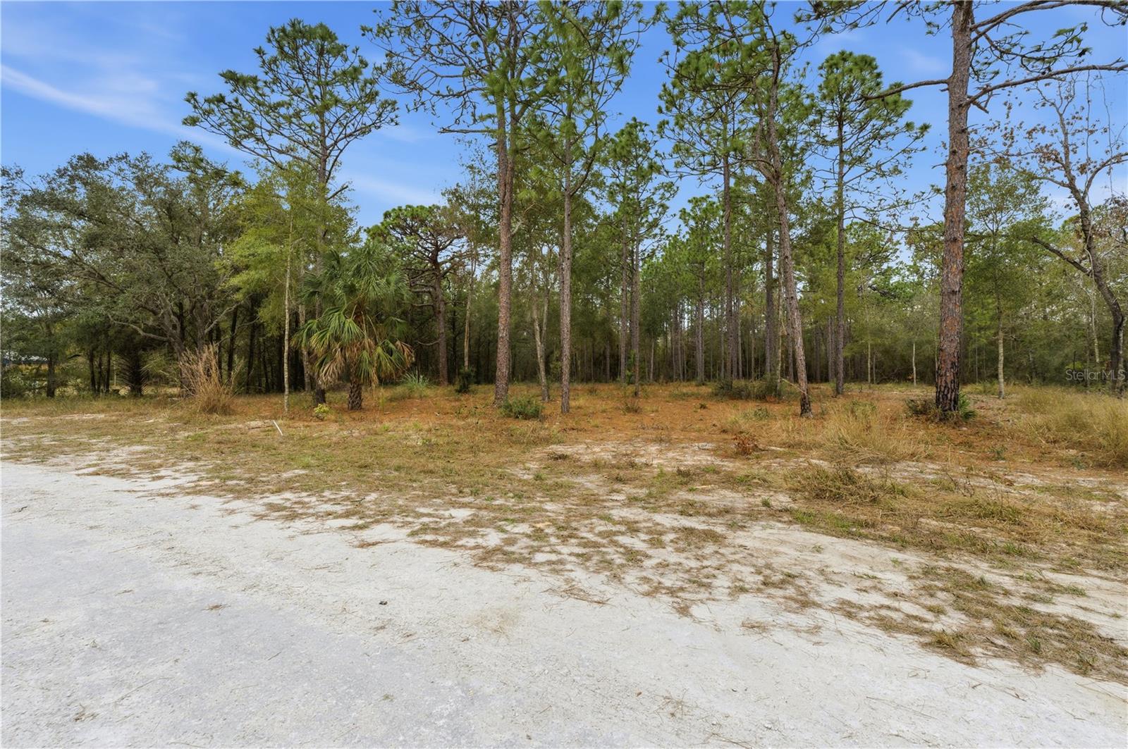 ROYAL HIGHLANDS - Land