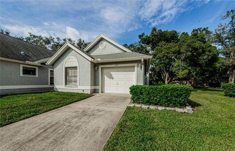 A home in NEW PORT RICHEY