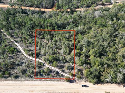 CARDINAL AVENUE MARIANNA FL 32448